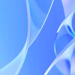 How to Install Droip into Local WP Server?